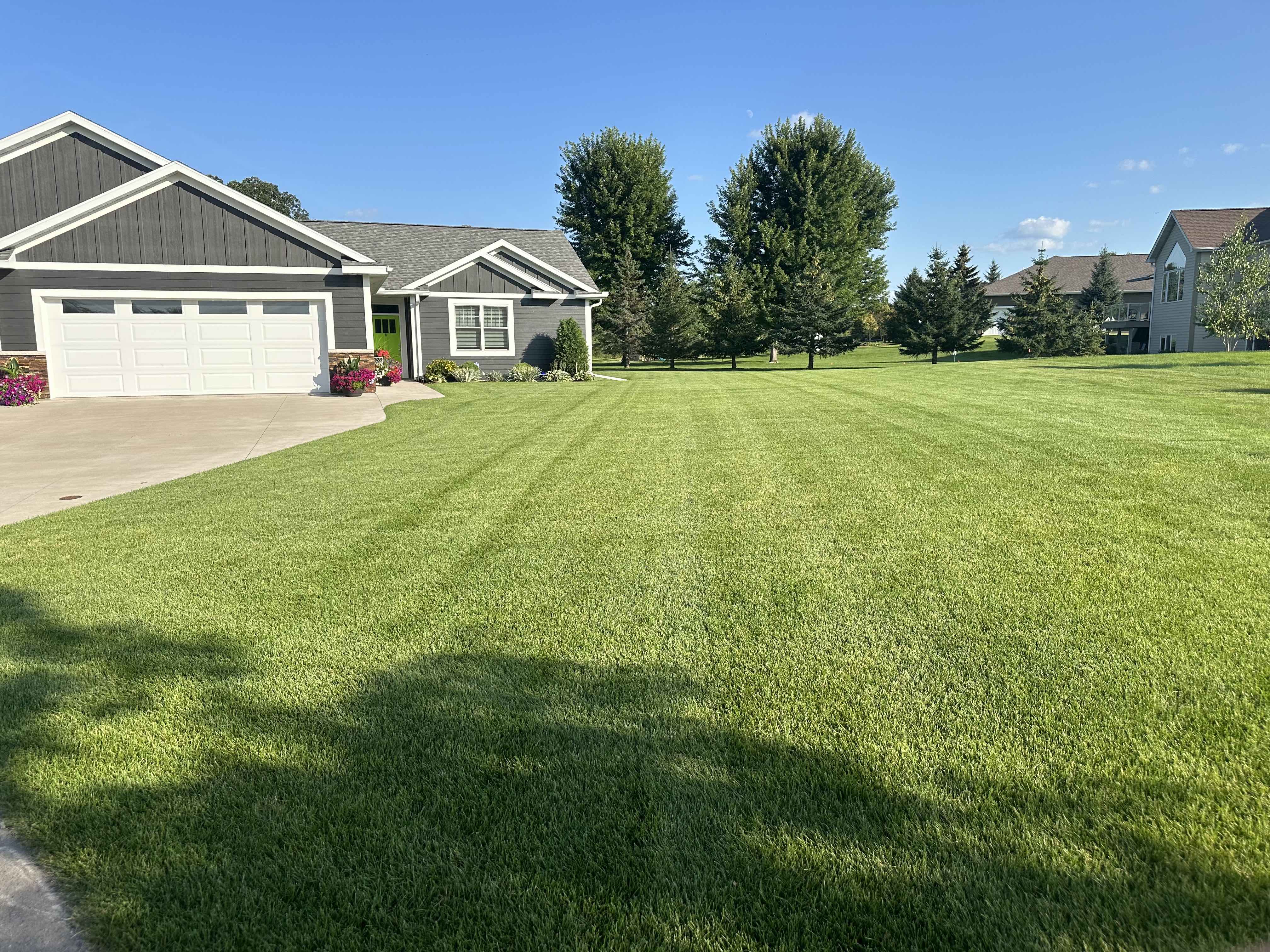 Effective Lawn Weed Control Services 1 Weed Treatments - Retina Colorful Images for Desktop